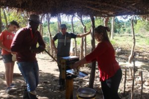 Making juice from sugarcane, Cuba