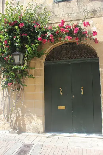 Dark green door with fish shaped handles and pink flowers