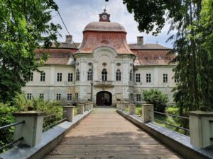 Castelele nobililor maghiari din judetul Mures