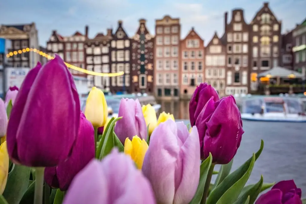 amsterdam - cele mai frumoase orase din europa pentru o vacanta de primavara