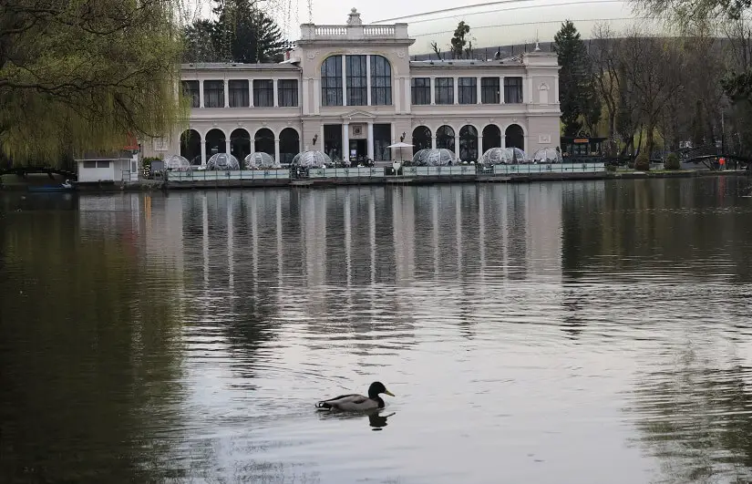 Parcul Central Simion Barnutiu - Lacul Chios - obiective turistice din Cluj-Napoca