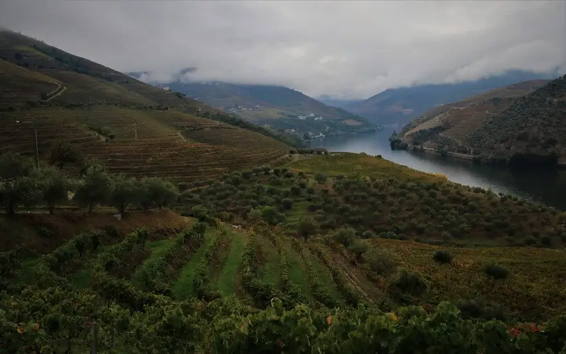 Douro Valley - Circuit Portugalia - itinerariu 15 zile