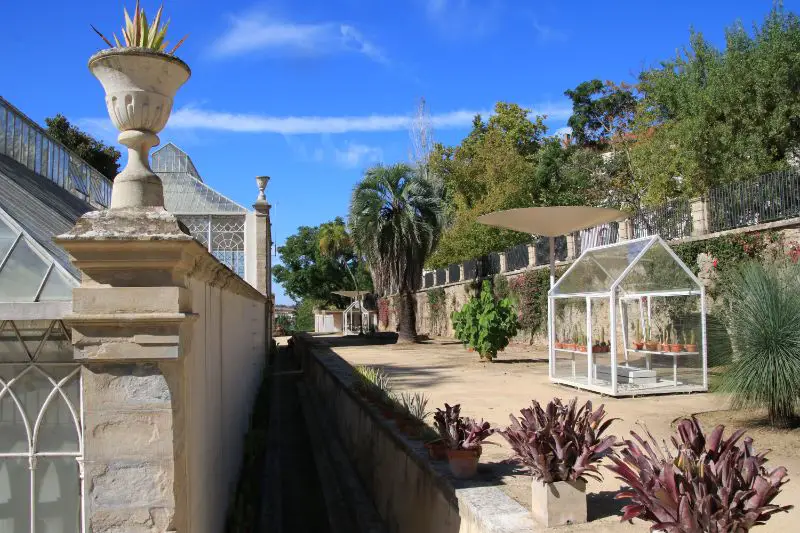 The Botanical Garden - one of the best things to do in Coimbra