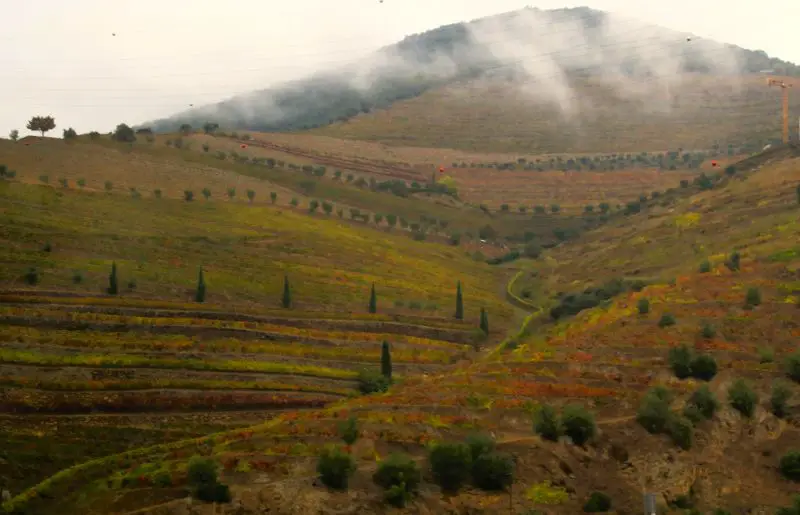 Douro valley - best things to do on day trip from Porto to Portugal's famous wine region