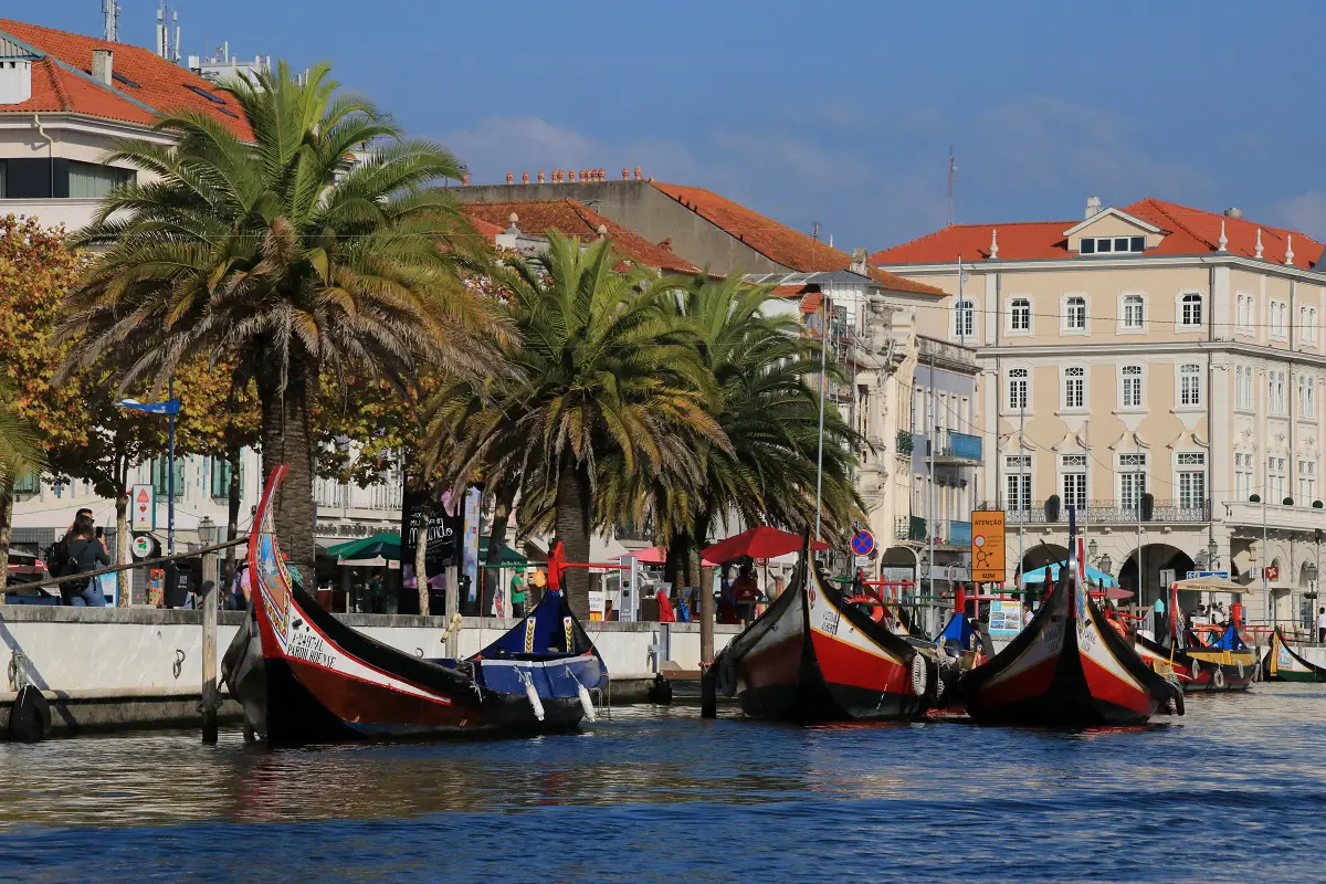 Best things to do in Aveiro on a day trip from Porto