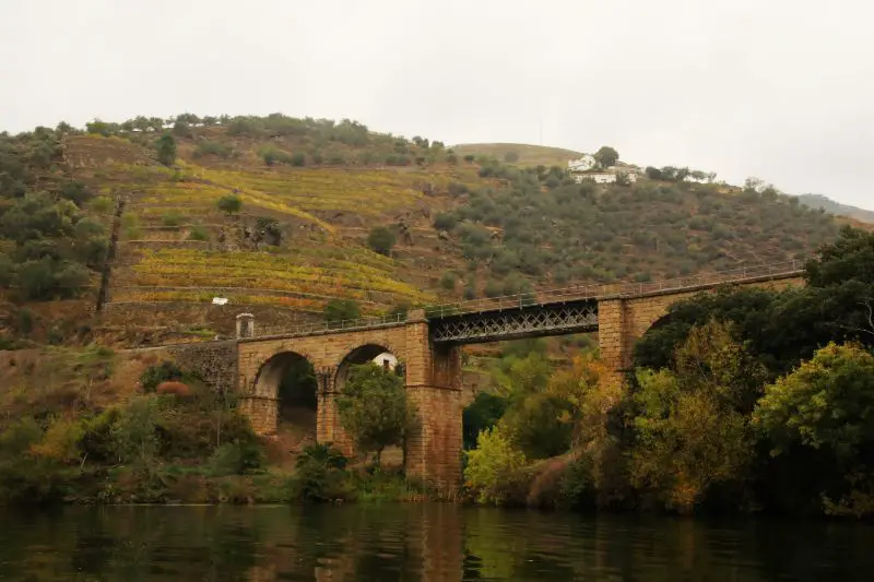 Douro valley - best things to do on day trip from Porto to Portugal's famous wine region
