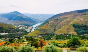View from Casal dos Loivos over Douro Valley
