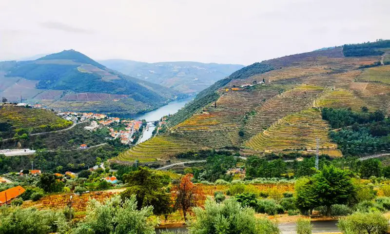 View from Casal de Loivos over Douro Valley