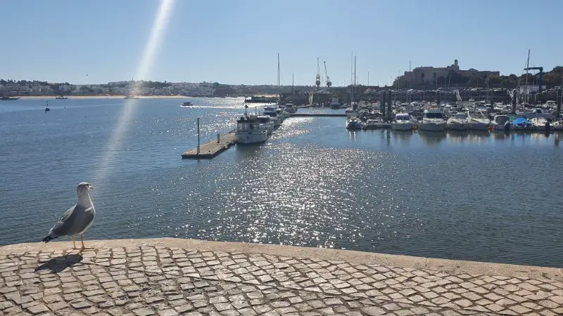 Marina- best tourist attractions in Faro
