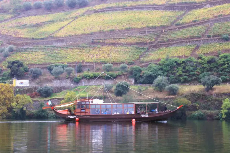 Douro valley - best things to do on day trip from Porto to Portugal's famous wine region - vinul de Porto