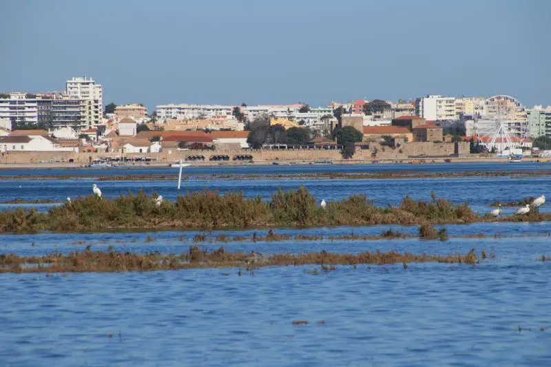 Walled city of Faro seen from Ria Formosa