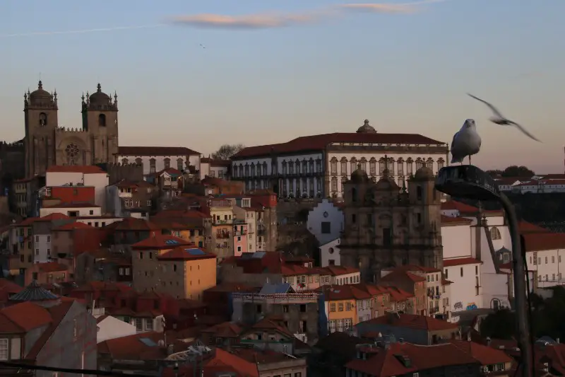 Miradouro da Vitoria - best things to do in Porto in three days