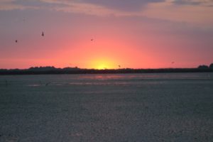 Rasarit de Soare in Delta Dunarii