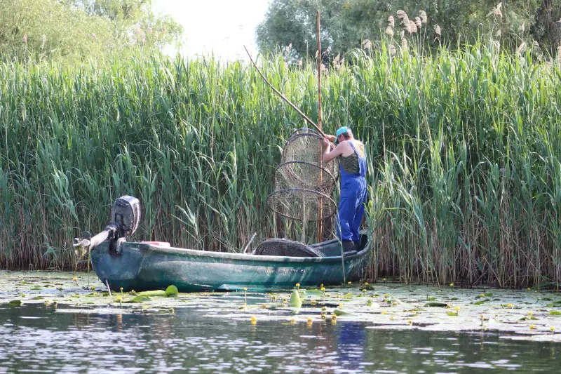 pescar - lucruri de facut in Delta Dunarii