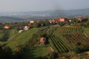 Goriska Brda and Vipava Valley